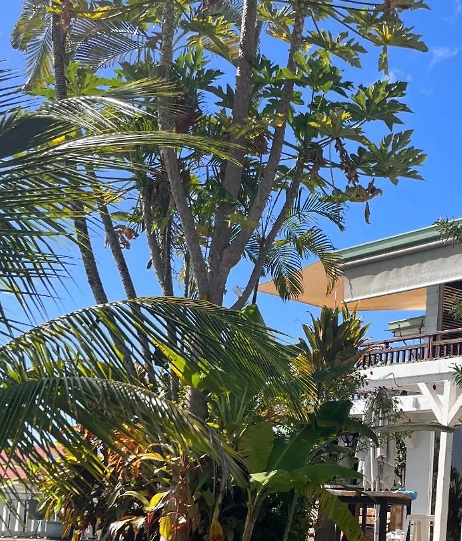 Vue Imprenable Calme Et Serenite Pirae Bed and breakfast